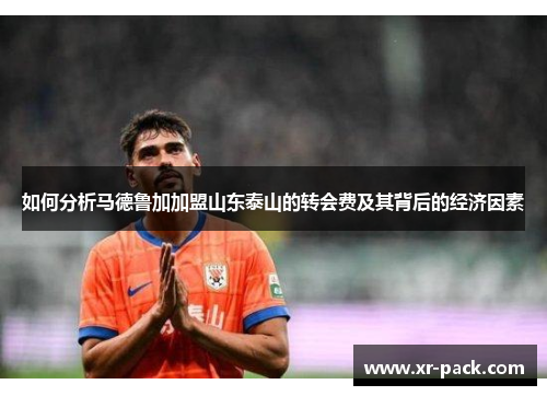 如何分析马德鲁加加盟山东泰山的转会费及其背后的经济因素