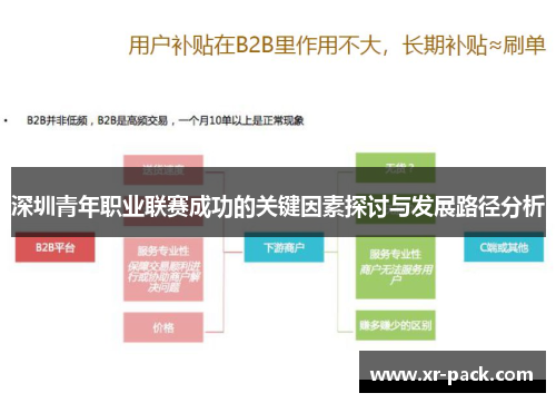深圳青年职业联赛成功的关键因素探讨与发展路径分析